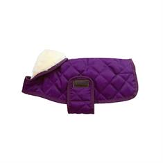 Manteau pour chien Kentucky Violet