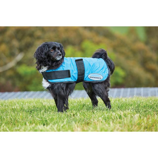 Manteau pour chien Therapy-Tec Cooling WeatherBeeta MID BLUE
