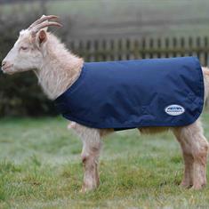 Manteau pour chèvre 100g WeatherBeeta Bleu foncé
