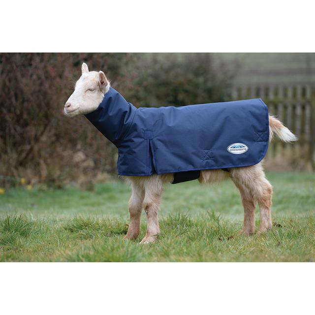 Manteau pour chèvre 100g WeatherBeeta Bleu foncé