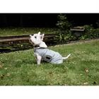 Manteau pour teckel imperméable 160 g Kentucky Bleu clair