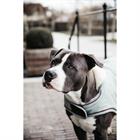 Manteau pour teckel imperméable 160 g Kentucky Bleu clair