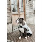Manteau pour teckel imperméable 160 g Kentucky Bleu clair