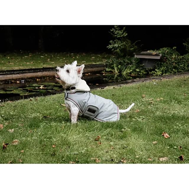 Manteau pour teckel imperméable 160 g Kentucky Bleu clair