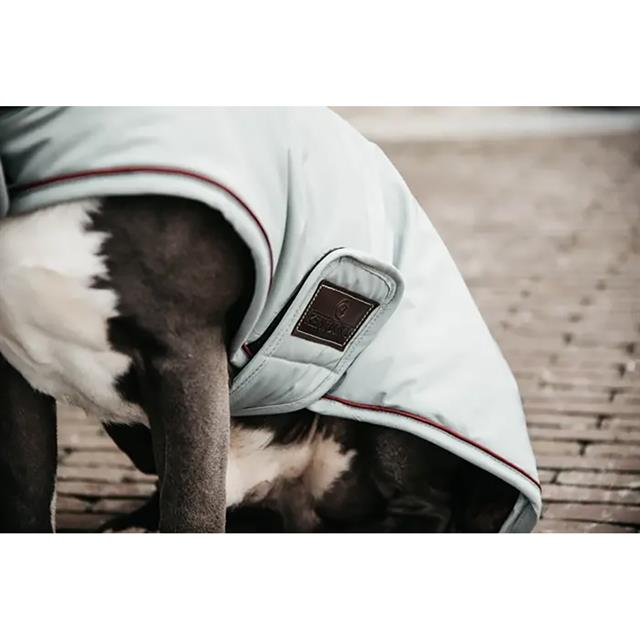 Manteau pour teckel imperméable 160 g Kentucky Bleu clair