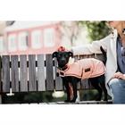Manteau pour teckel imperméable 160 g Kentucky Rose clair