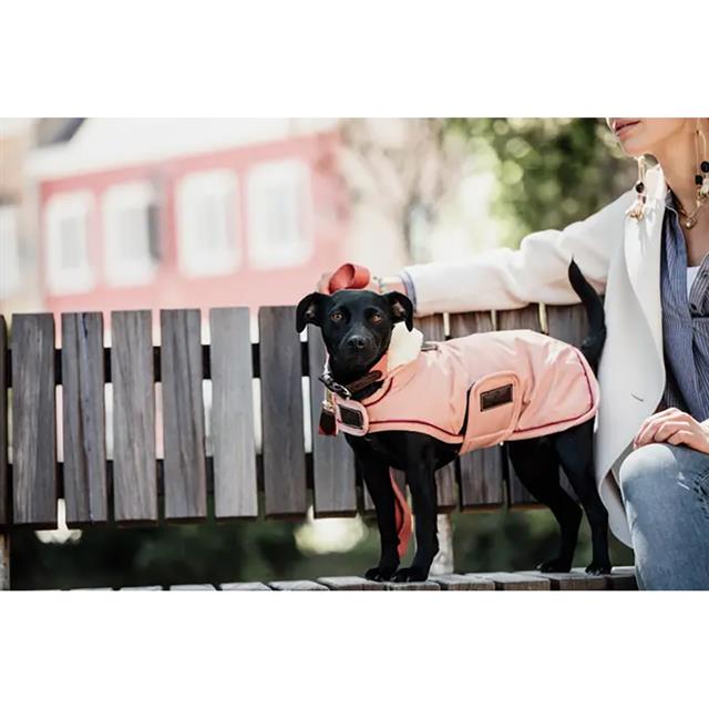 Manteau pour teckel imperméable 160 g Kentucky Rose clair