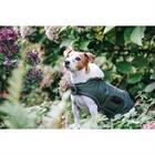 Manteau pour Teckel imperméable Kentucky 300gr Vert