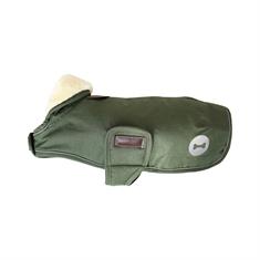 Manteau pour Teckel imperméable Kentucky 300gr Vert