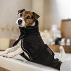 Manteau serviette pour chien Kentucky Noir
