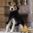Manteau serviette pour chien Kentucky Noir