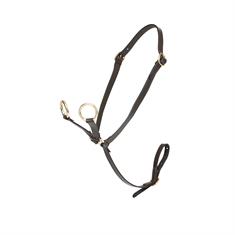 Martingaal pour Mini Toy Pony LeMieux Marron