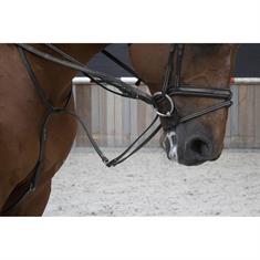 Martingale avec cordes Full Jump Assist Pro Selected LJ Leathers Noir