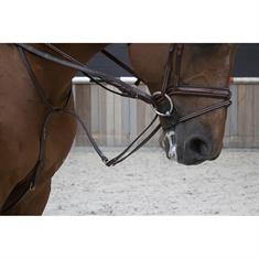 Martingale avec rênes Full Jump Assist Pro Selected LJ Leathers Marron
