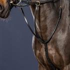 Martingale D Collection Dy'on Noir