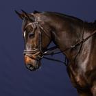 Martingale Full Howlett Working By Dy'on Marron