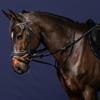 Martingale Full Howlett Working By Dy'on Noir