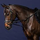 Martingale Full Howlett Working By Dy'on Noir