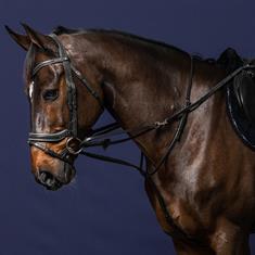 Martingale Full Howlett Working By Dy'on Noir
