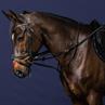 Martingale Full Howlett Working By Dy'on Noir