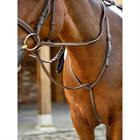 Martingale Hunter Standing LeMieux Marron-argenté