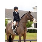 Martingale Hunter Standing LeMieux Marron-argenté