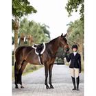 Martingale Hunter Standing LeMieux Marron-argenté