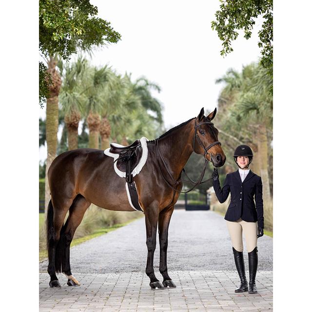 Martingale Hunter Standing LeMieux Marron-argenté