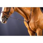 Martingale Standing Nec Dy'on Marron