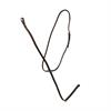 Martingale Standing Usc Dy'on Marron