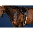 Martingale Standing Usc Dy'on Marron