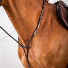 Martingale Standing Usc Dy'on Marron