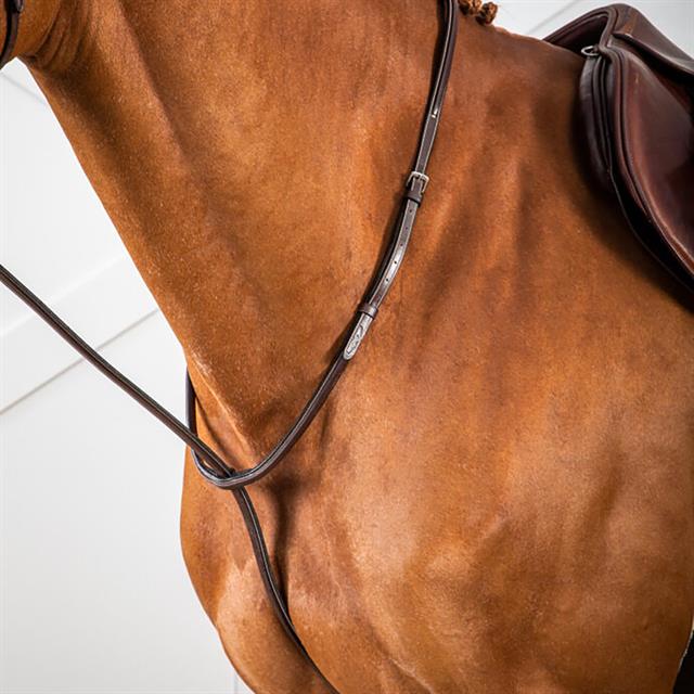 Martingale Standing Usc Dy'on Marron