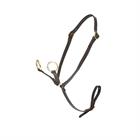 Martingale Toy Pony LeMieux Marron