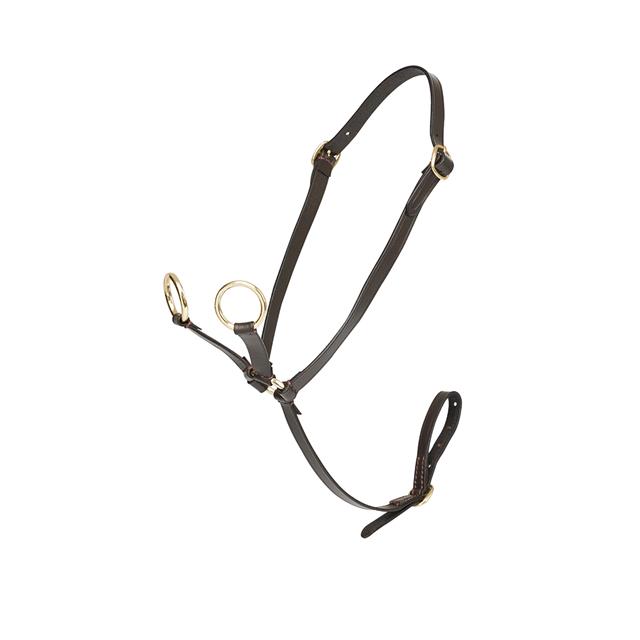 Martingale Toy Pony LeMieux Marron