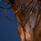 Martingale Usc Dy'on Marron