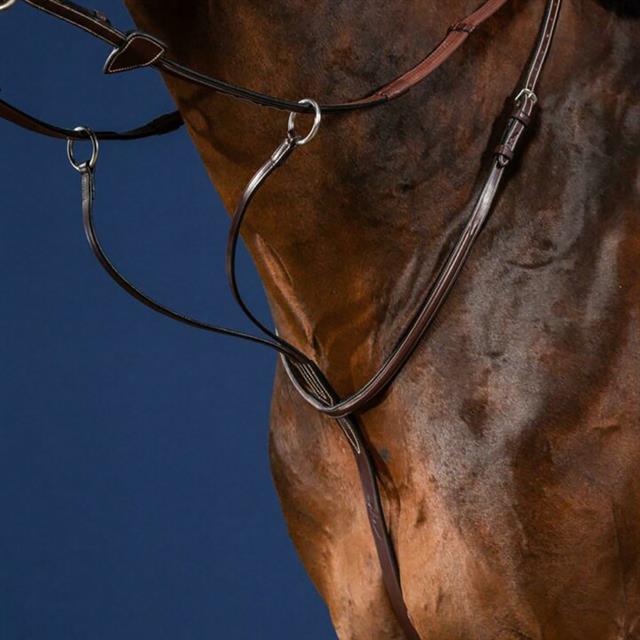 Martingale Usc Dy'on Marron