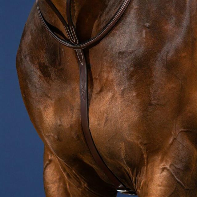 Martingale Usc Dy'on Marron