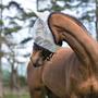 Masque Anti-Mouches Amigo Horseware Bronze
