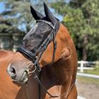 Masque anti-mouches Ride HORSEGEAR Noir