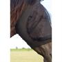 Masque anti-mouches Stretchy HORSEGEAR Noir-noir