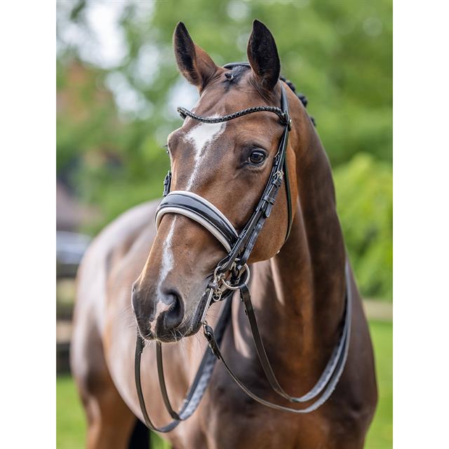 Mors et filet Kudos LeMieux Noir-blanc