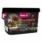 Muscle Build Pavo Autre