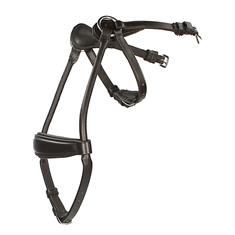 Muserolle Aquila Horsegear Marron