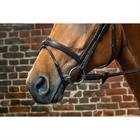 Muserolle combinée avec noseband amovible D Collection Dy'on Noir