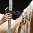 Mètre de mesure HGAluminium HORSEGEAR Autre