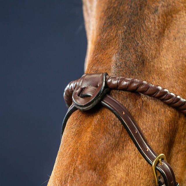 Noseband avec 2 attaches amovibles D Collection by Dy'on Marron