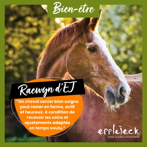 Offrez les meilleurs soins à votre cheval senior