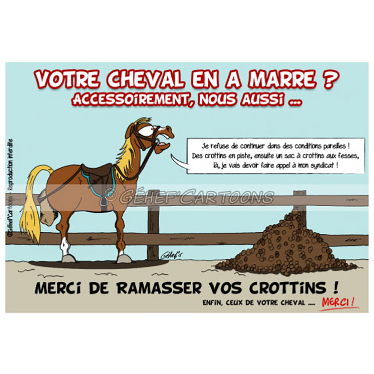 Sweat chevaux humour idee cadeau cheval