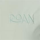 Polo Cycle Four ROAN Vert clair
